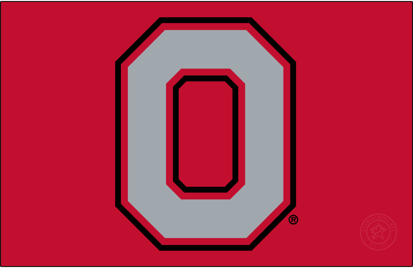 Ohio State Buckeyes 1991-Pres Secondary Logo diy DTF decal sticker